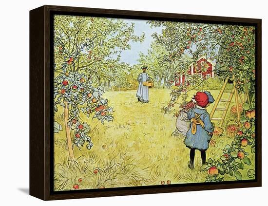 The Apple Harvest-Carl Larsson-Framed Premier Image Canvas