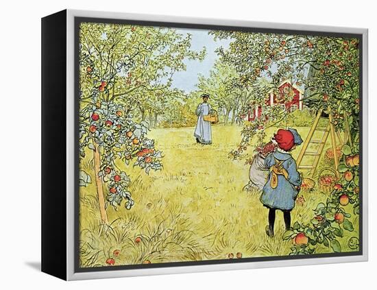 The Apple Harvest-Carl Larsson-Framed Premier Image Canvas