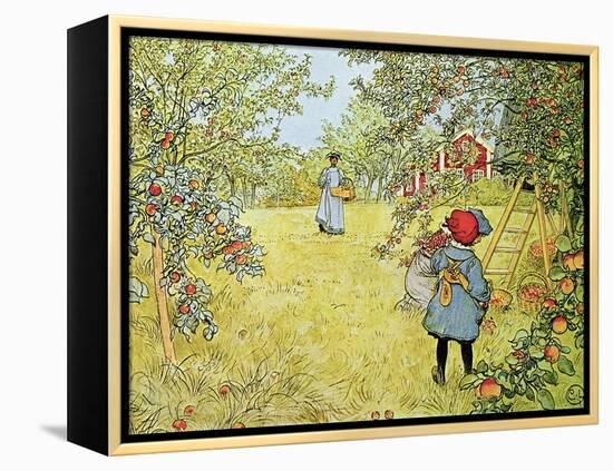 The Apple Harvest-Carl Larsson-Framed Premier Image Canvas