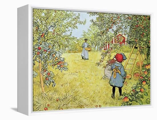 The Apple Harvest-Carl Larsson-Framed Premier Image Canvas