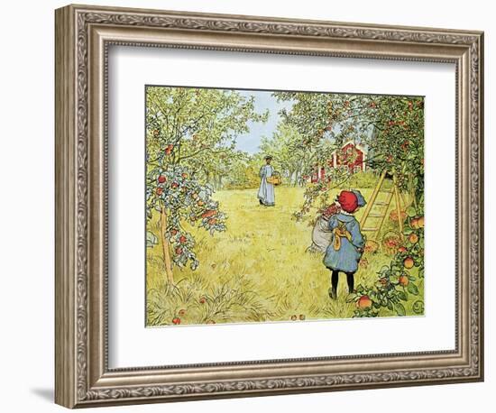 The Apple Harvest-Carl Larsson-Framed Premium Giclee Print