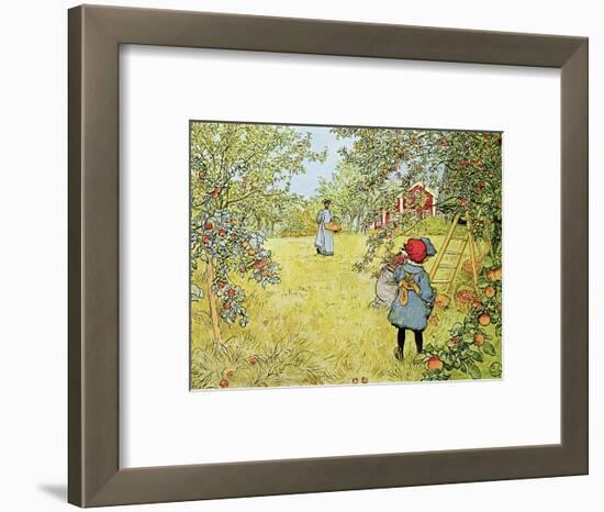 The Apple Harvest-Carl Larsson-Framed Premium Giclee Print