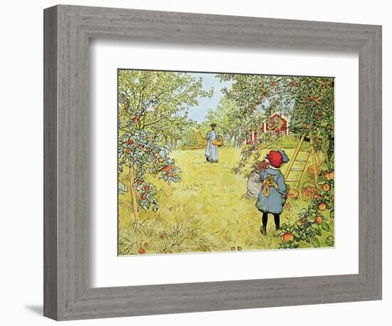 The Apple Harvest-Carl Larsson-Framed Premium Giclee Print