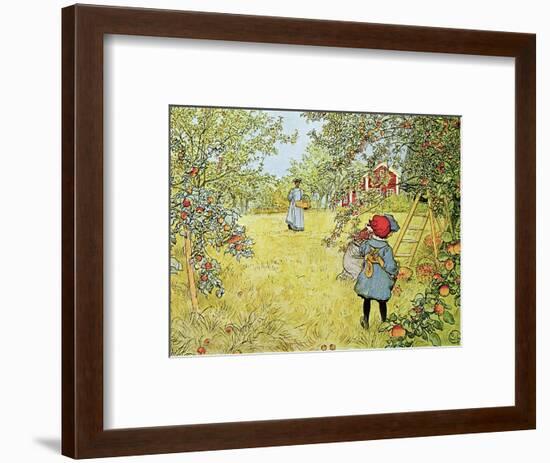 The Apple Harvest-Carl Larsson-Framed Premium Giclee Print