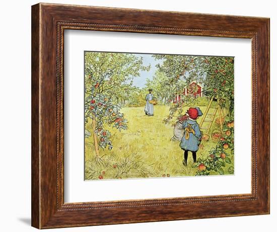 The Apple Harvest-Carl Larsson-Framed Premium Giclee Print