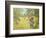 The Apple Harvest-Carl Larsson-Framed Premium Giclee Print