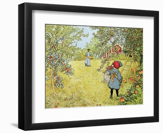 The Apple Harvest-Carl Larsson-Framed Premium Giclee Print