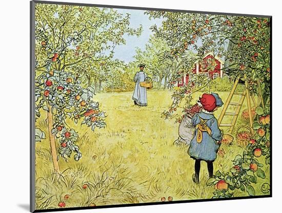 The Apple Harvest-Carl Larsson-Mounted Premium Giclee Print