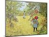 The Apple Harvest-Carl Larsson-Mounted Premium Giclee Print