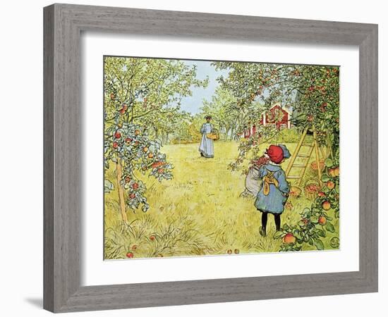 The Apple Harvest-Carl Larsson-Framed Giclee Print