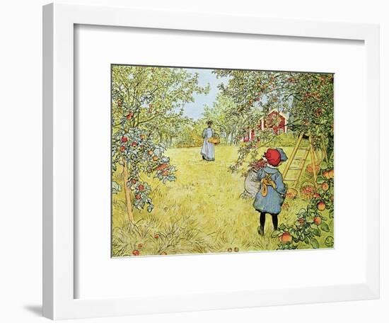 The Apple Harvest-Carl Larsson-Framed Giclee Print