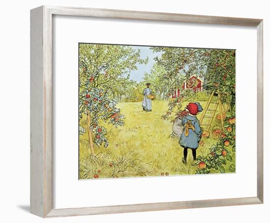 The Apple Harvest-Carl Larsson-Framed Giclee Print