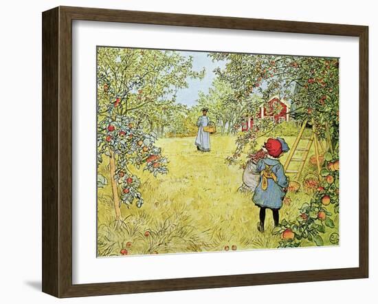 The Apple Harvest-Carl Larsson-Framed Giclee Print