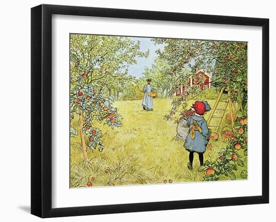 The Apple Harvest-Carl Larsson-Framed Giclee Print