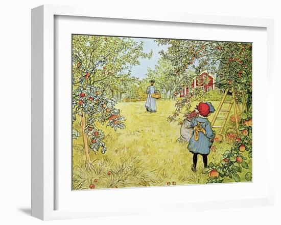 The Apple Harvest-Carl Larsson-Framed Giclee Print