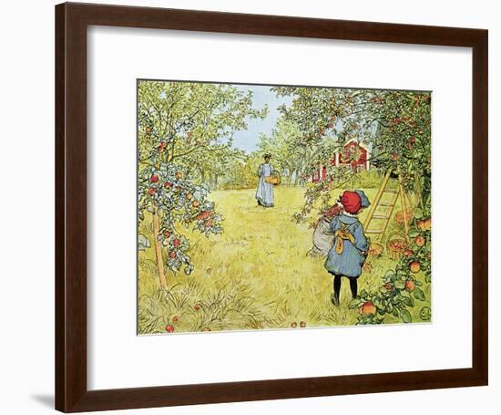 The Apple Harvest-Carl Larsson-Framed Giclee Print