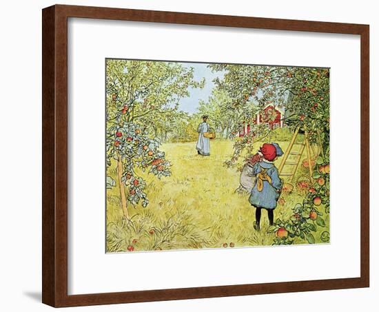 The Apple Harvest-Carl Larsson-Framed Giclee Print