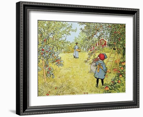 The Apple Harvest-Carl Larsson-Framed Giclee Print