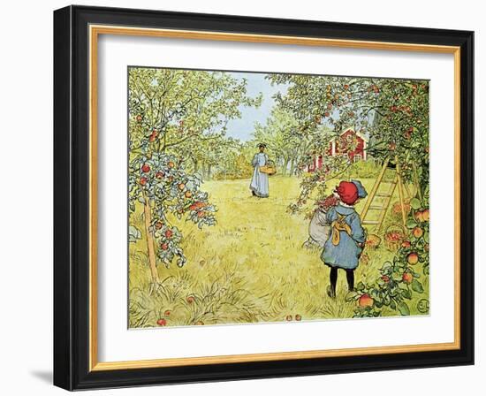 The Apple Harvest-Carl Larsson-Framed Giclee Print