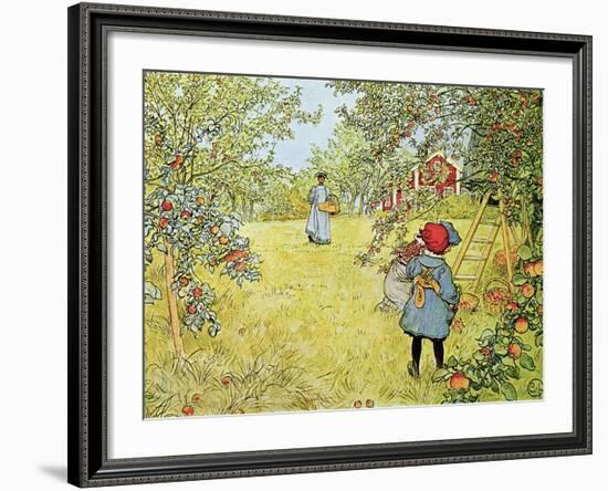 The Apple Harvest-Carl Larsson-Framed Giclee Print