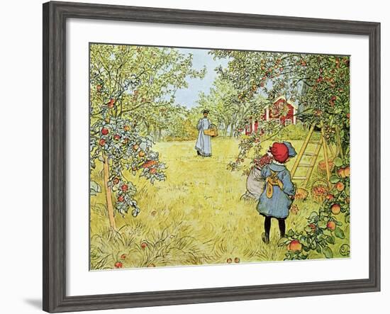 The Apple Harvest-Carl Larsson-Framed Giclee Print