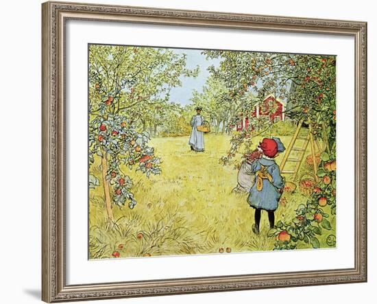 The Apple Harvest-Carl Larsson-Framed Giclee Print