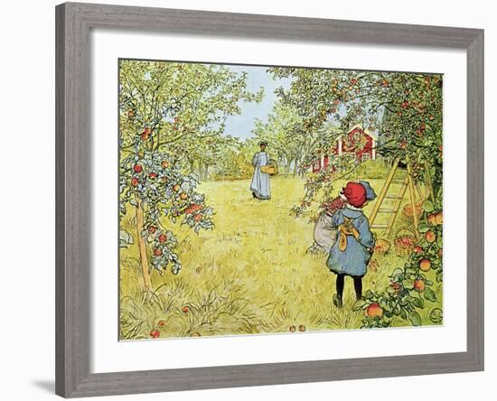 The Apple Harvest-Carl Larsson-Framed Giclee Print