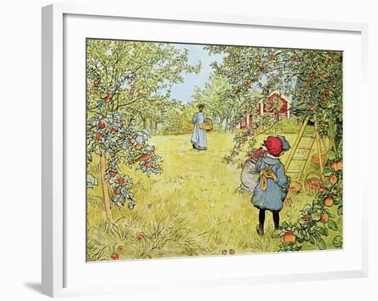 The Apple Harvest-Carl Larsson-Framed Giclee Print