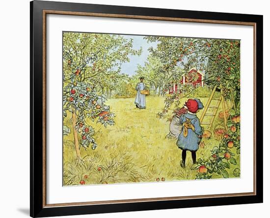 The Apple Harvest-Carl Larsson-Framed Giclee Print