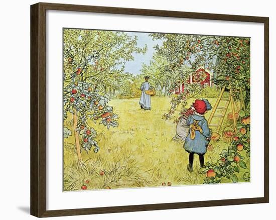 The Apple Harvest-Carl Larsson-Framed Giclee Print