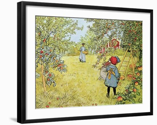 The Apple Harvest-Carl Larsson-Framed Giclee Print