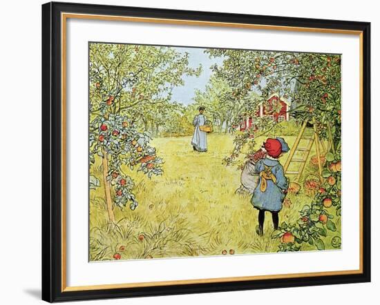 The Apple Harvest-Carl Larsson-Framed Giclee Print