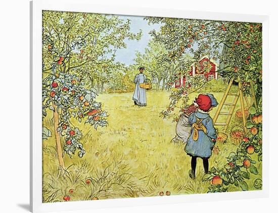 The Apple Harvest-Carl Larsson-Framed Giclee Print