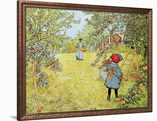 The Apple Harvest-Carl Larsson-Framed Giclee Print