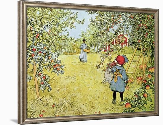 The Apple Harvest-Carl Larsson-Framed Giclee Print