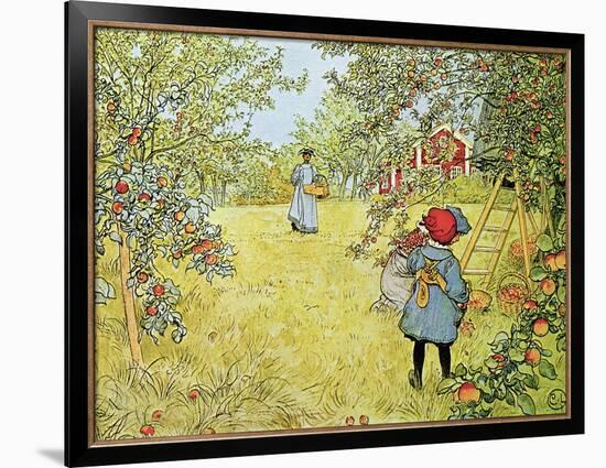 The Apple Harvest-Carl Larsson-Framed Giclee Print