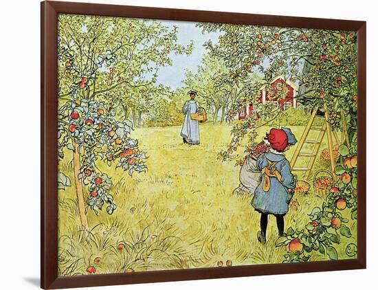 The Apple Harvest-Carl Larsson-Framed Giclee Print