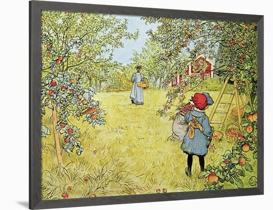 The Apple Harvest-Carl Larsson-Framed Giclee Print