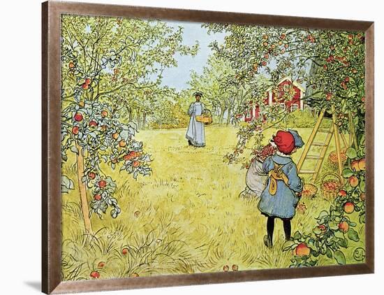 The Apple Harvest-Carl Larsson-Framed Giclee Print