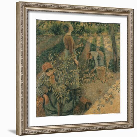 The Apple Pickers, 1886-Camille Pissarro-Framed Giclee Print