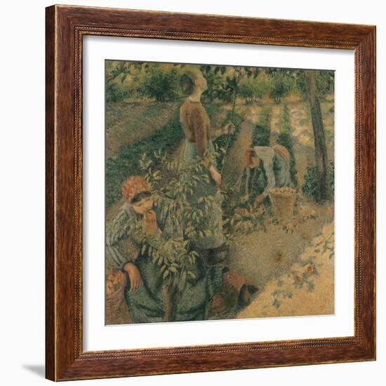 The Apple Pickers, 1886-Camille Pissarro-Framed Giclee Print