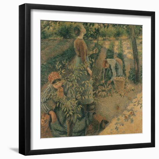 The Apple Pickers, 1886-Camille Pissarro-Framed Giclee Print