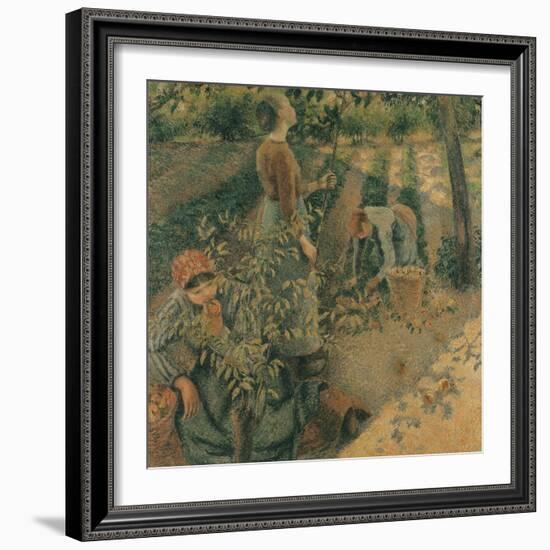 The Apple Pickers, 1886-Camille Pissarro-Framed Giclee Print