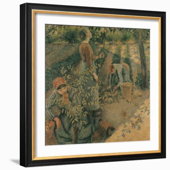 The Apple Pickers, 1886-Camille Pissarro-Framed Giclee Print