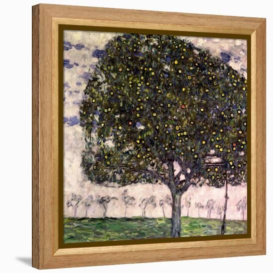 The Apple Tree, 1916-Gustav Klimt-Framed Premier Image Canvas