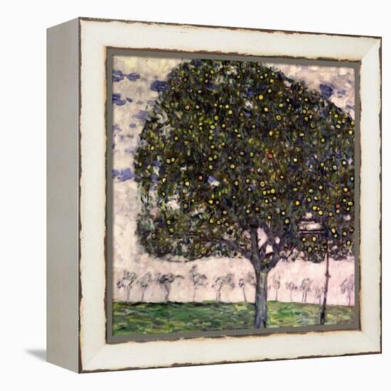 The Apple Tree, 1916-Gustav Klimt-Framed Premier Image Canvas