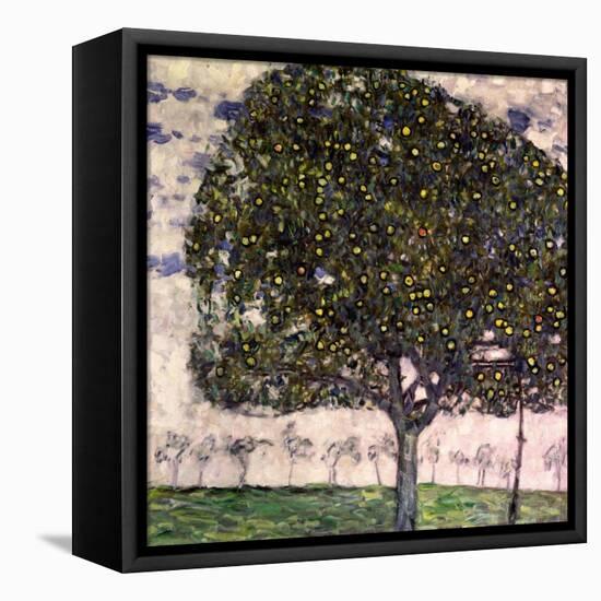 The Apple Tree, 1916-Gustav Klimt-Framed Premier Image Canvas