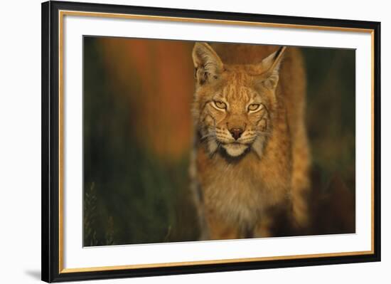 The Approach-Staffan Widstrand-Framed Giclee Print