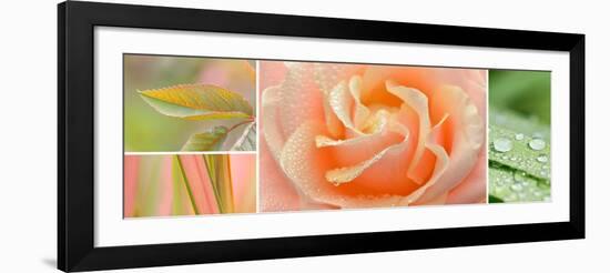 The Apricot Garden-Cora Niele-Framed Photographic Print