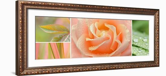 The Apricot Garden-Cora Niele-Framed Photographic Print